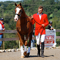Photo of horse and rider