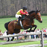 Photo of horse jumping over fence