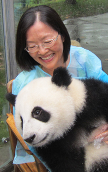 Dr. Zhengxia Dou at the Chengdu Panda Breeding and Research Base