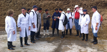 Evaluating corn silage in Yinchuan, China