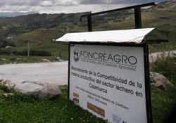 Redding connected with the nonprofit organization Foncreagro, which supports Peruvian farmers with veterinary care and other assistance.