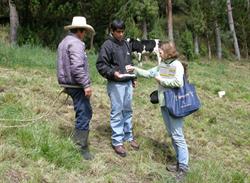 Laurel Redding meets with dairy farmers in Peru.