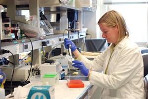 Dr. Kendra Bence is researching signaling pathways that lead to obesity.