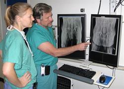 Dr. Gail Smith (r) and Dr. Georga Karbe review some radiographs.