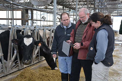 Penn Vet Dairy Herd Health experts use technology to integrate economically sustainable practices onto client farms.