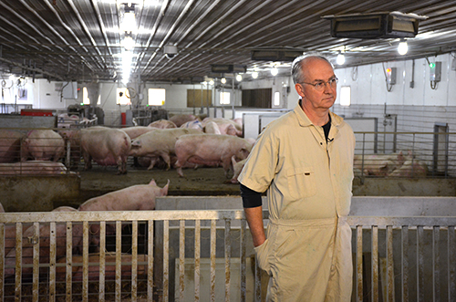 Dr. Thomas Parsons stands inside the Swine Teaching and Research Center.