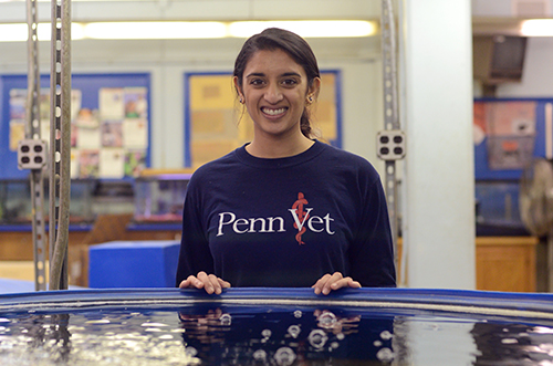 Meghana Pendurthi, V'17, at the Penn Aquaponics project