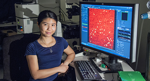 Sylvia Qu sits next to the confocal microscope she uses to views cell images for her research. Photo by Peter Gebhard.