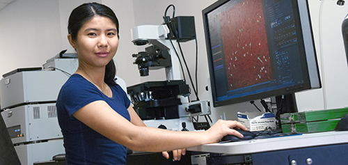 Sylvia Qu views cell images taken with a confocal microscope visible in the background. Photo by Peter Gebhard.