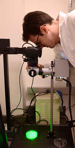 VMD-PhD student Jeffrey Carey is focused on how bacteria regulate gene expression to anticipate changes in their environment. The camera setup is a house-built system for imaging fluorescent bacterial colonies on agar plates.