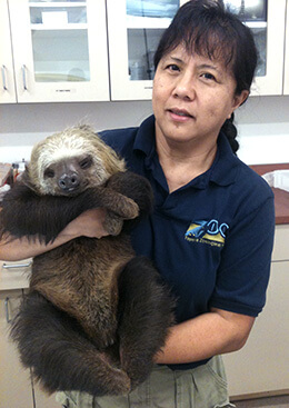 Dr. Shirley Yeo Llizo, with a sloth