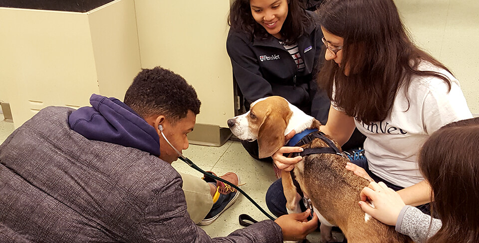 The Philadelphia Zoo's youth development program, ZooCREW, introduces area high school students to the front lines of veterinary medicine.
