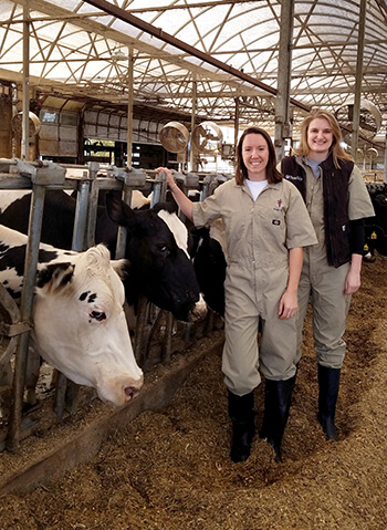 Amy Kraus (in vest) and Allyson Anderson were photographed at New Bolton Center’s Marshak Dairy before attending a SAVMA Symposium Bovine Palpation Team practice.
