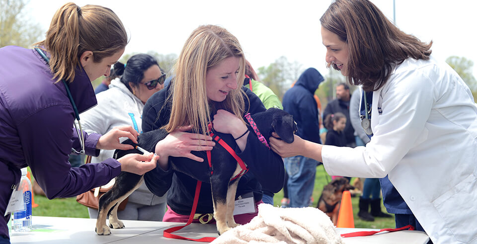Dr. Brittany Watson (far right) helps Penn Vet students vaccinate a dog at Pets For Life on World Veterinary Day.