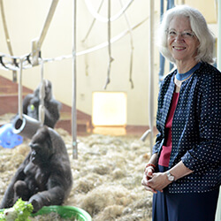 Dean Hendricks visits Kira and her newborn son Ajabu at Philadelphia Zoo’s PECO Primate Reserve.