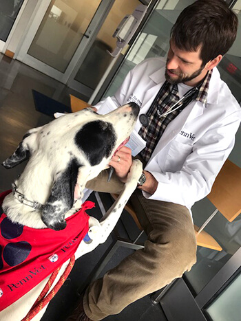 Dr. James Perry, Assistant Professor of Surgical Oncology, and Katie.