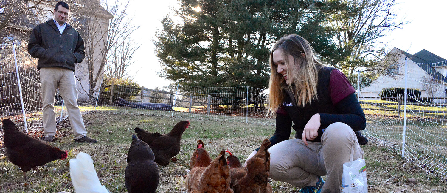 Linnea Tracy, V’19, observes chickens in Dr. David Levine’s backyard flock. She hopes to use her Penn Vet education to shape public policy and positively influence food security.