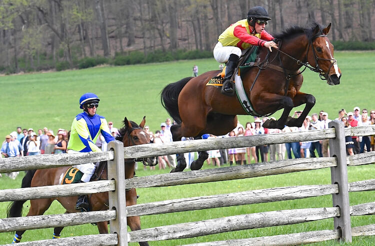 Senior Senator jumps the 13th fence in the 2018 Maryland Hunt Cup. Photo by Douglas Lees.