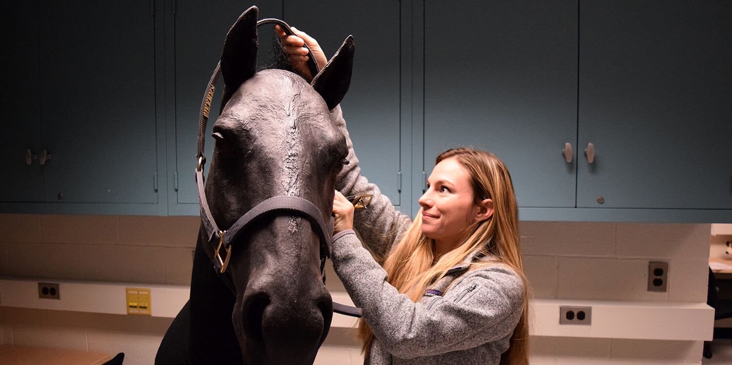 Molly Larson, V’19, practices placing a halter on a horse head model.