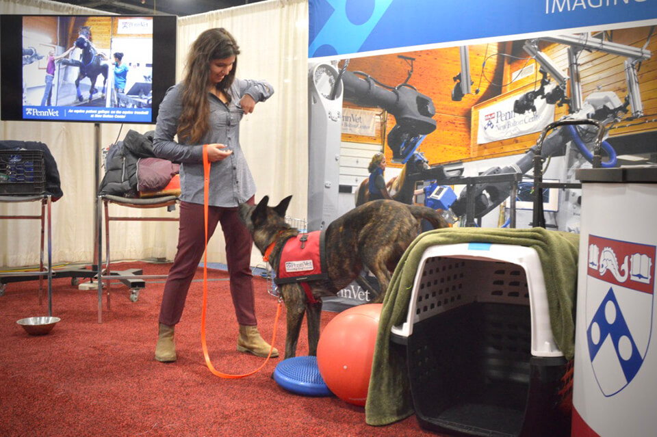 Penn Vet Working Dog Center makes a showing at the event.