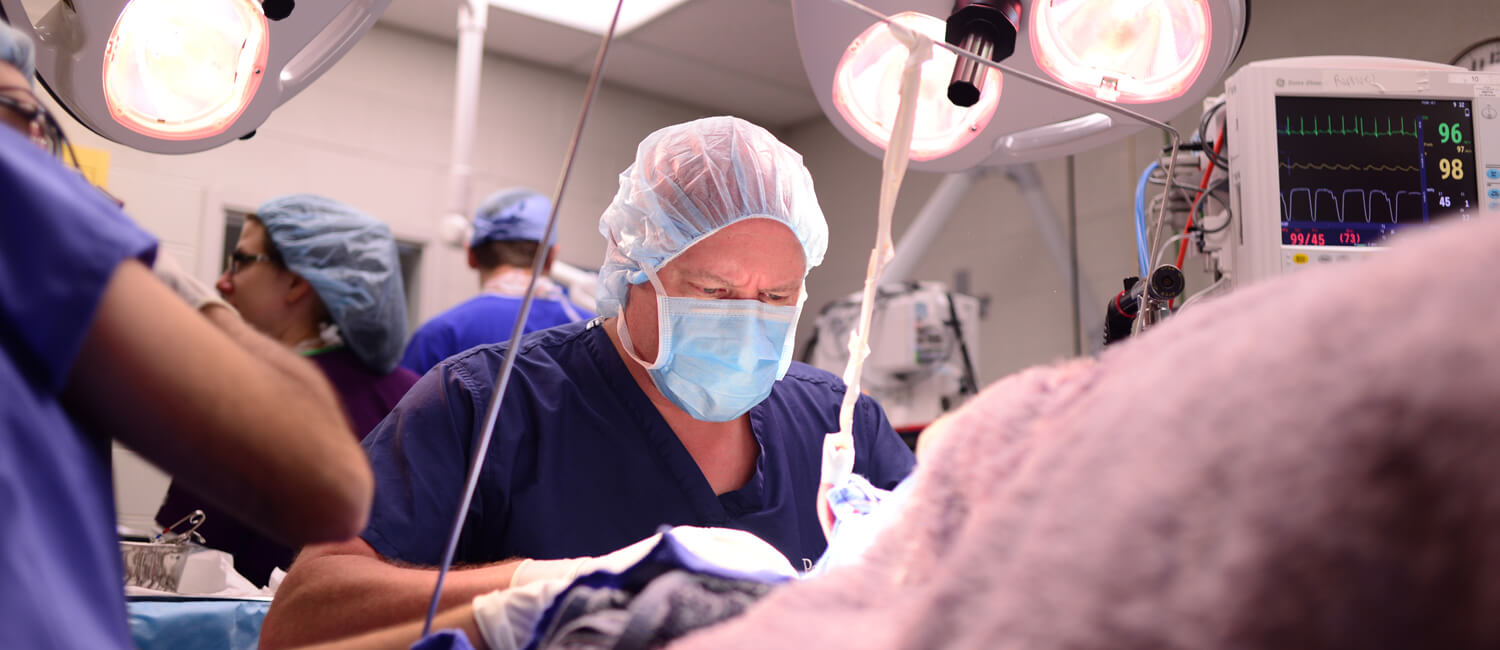 Dr. Alexander Reiter in surgery