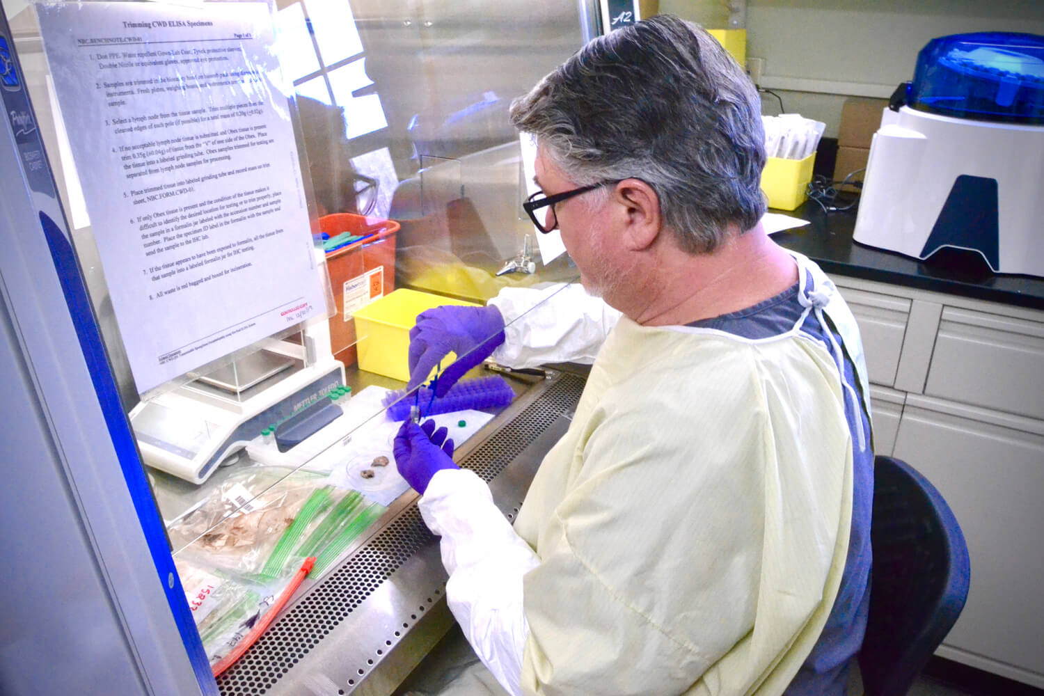 Research Specialist John Armstrong processes samples at the CWD lab