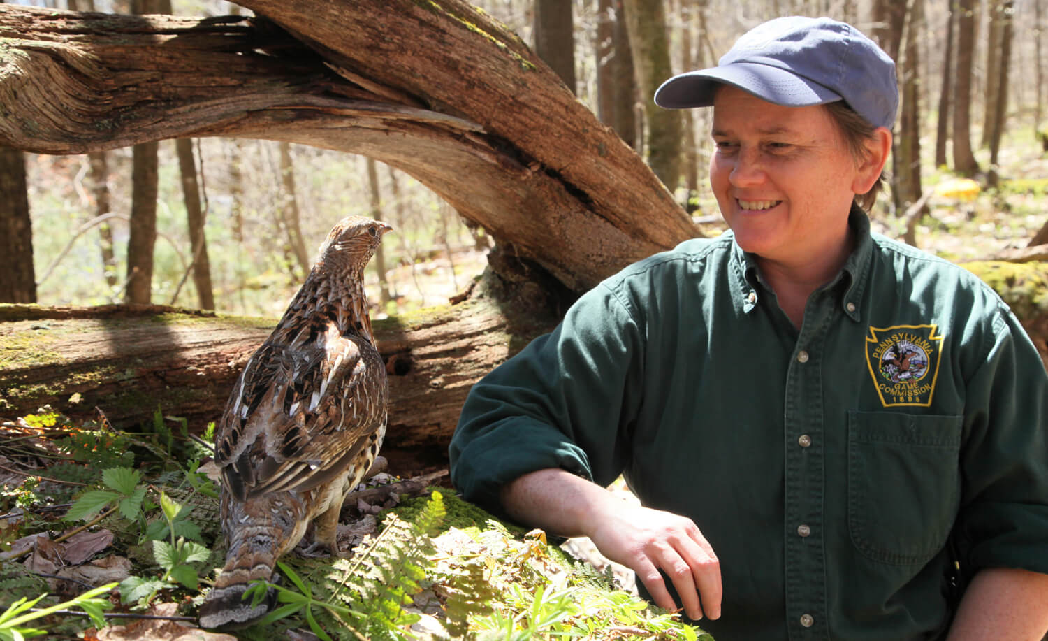 Lisa Williams, PGC Biologist and Program Specialist for Ruffed Grouse