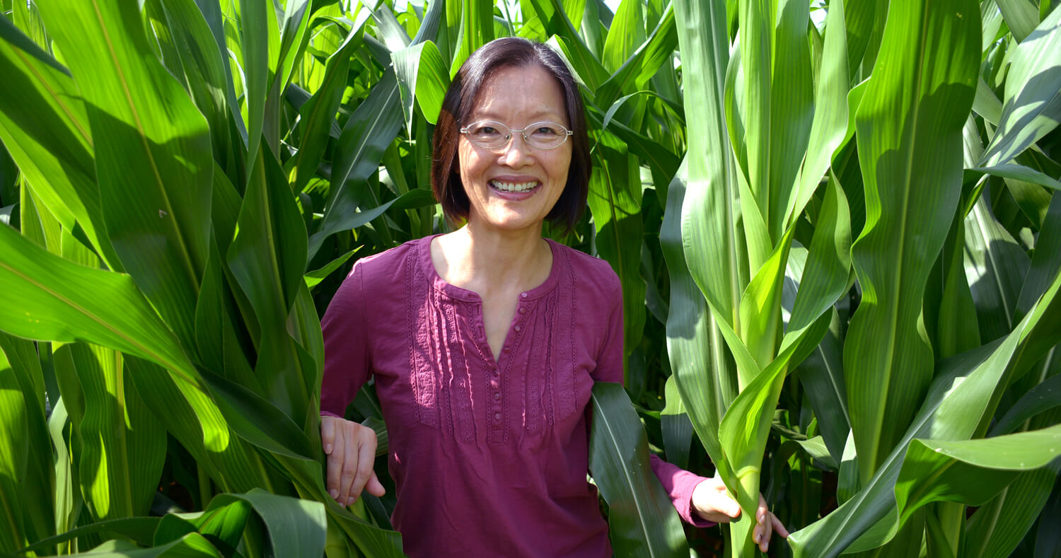 Dr. Zhengxia Dou, Professor of Agricultural Systems