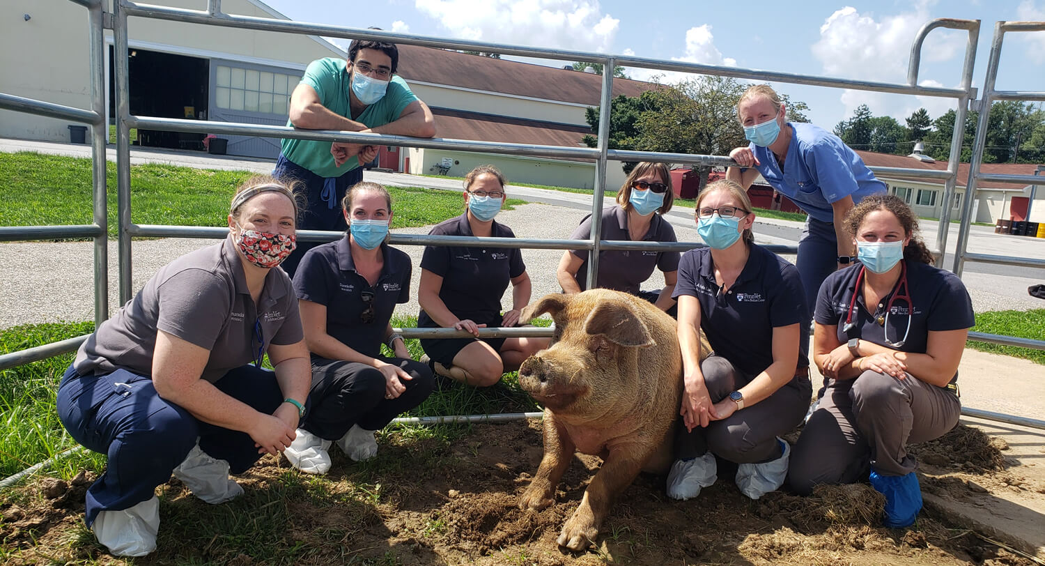 Many of Jolene’s large and loving team joined the 600-lb pig for a group photo before the animal’s discharge.
