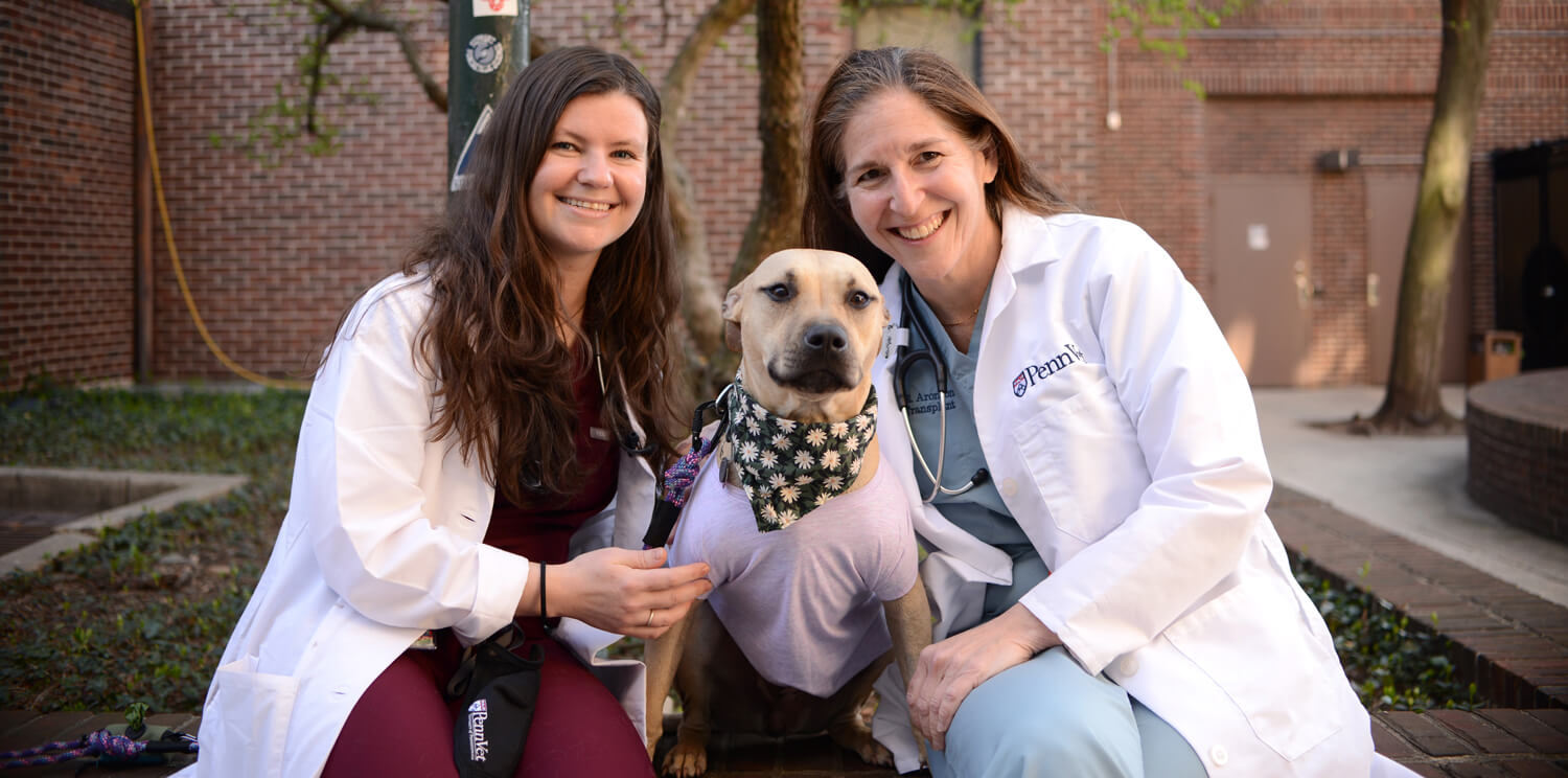 “Team Daisy:” Dr. Chiara Curcillo (l) and Dr. Lillian Aronson with their intrepid patient.