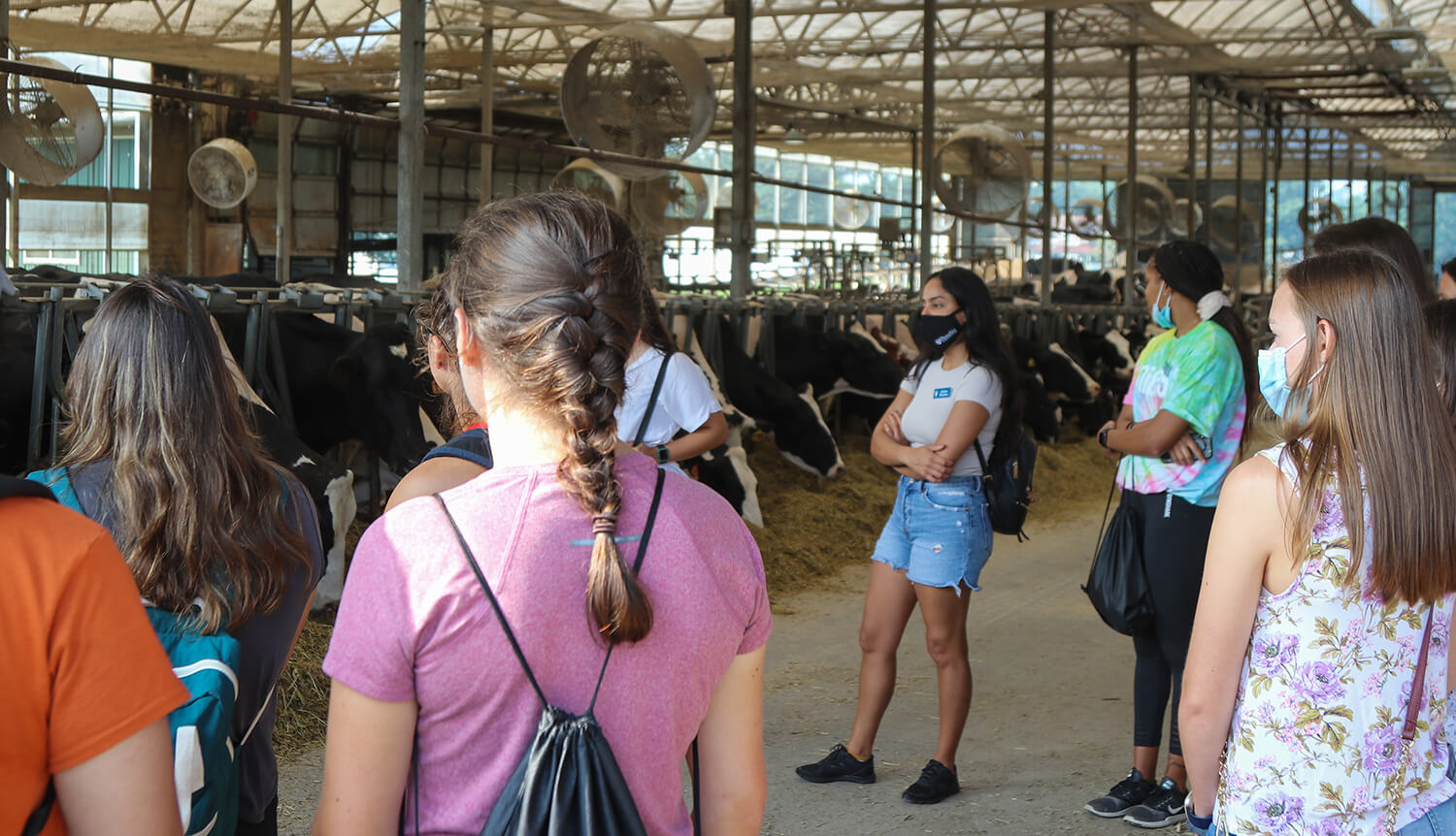 The students visit the Marshak Dairy during their tour of New Bolton Center.