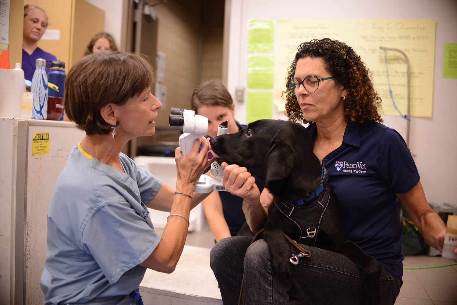 Vig during his ophthalmology exam with Dr. Mary Lassaline (left) and Dr. Cindy Otto (right). 