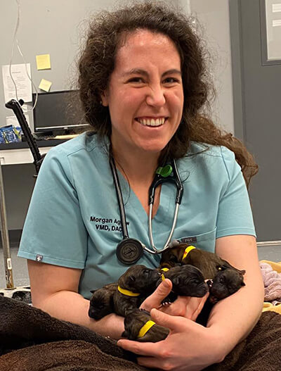  For Dr. Morgan Agnew, every workday is different and often the rewards are puppy cuddles.