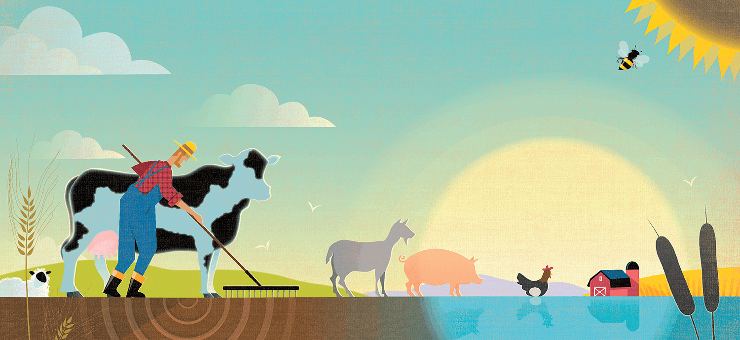 Farmer and livestock illustration by Rocco Baviera