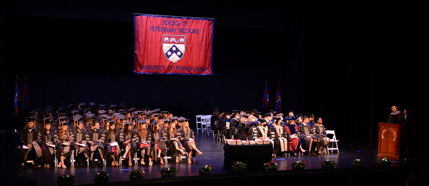 The Class of 2022 at Commencement