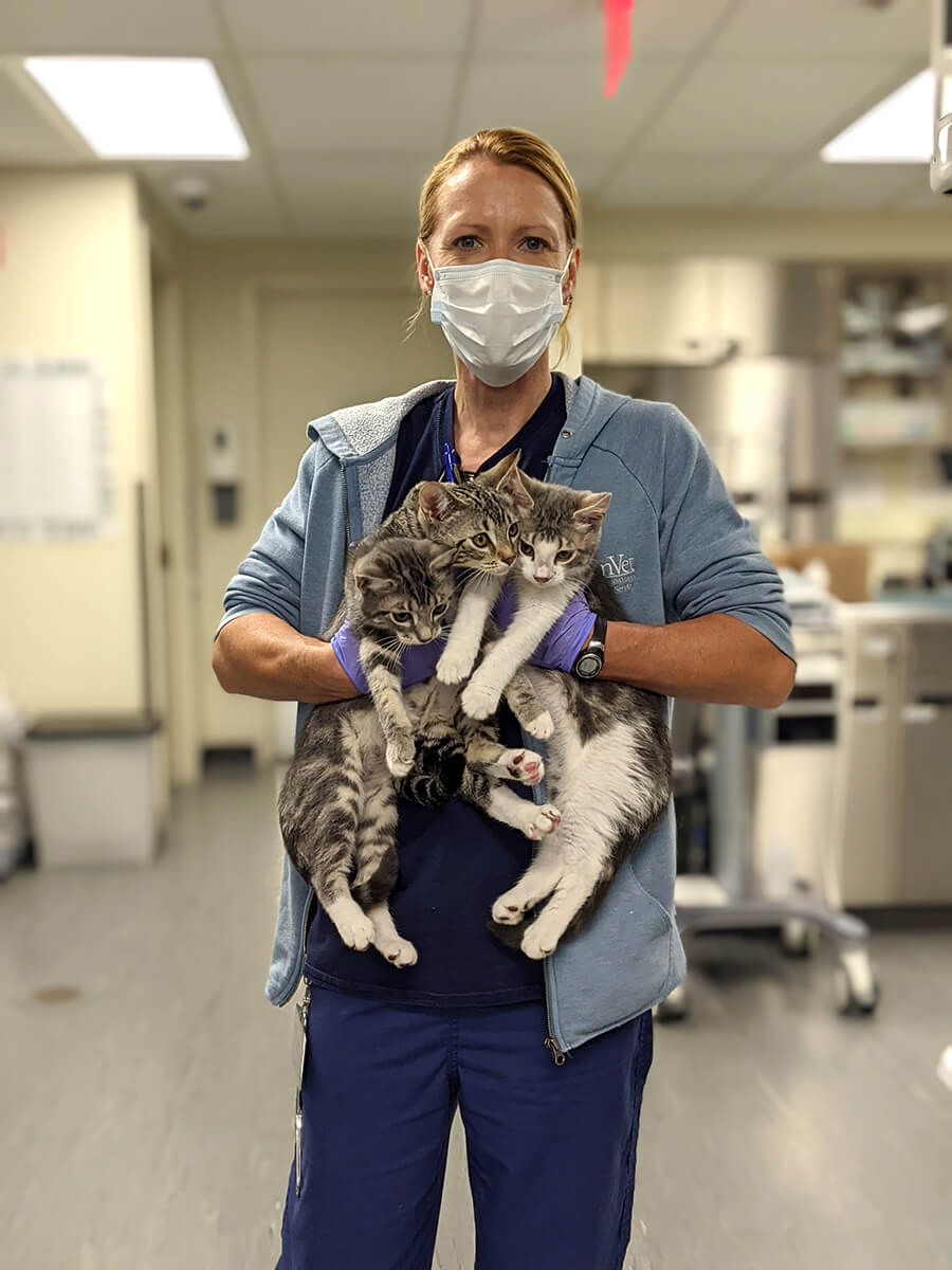 Assistant Veterinary Nursing Supervisor Jeni Dohner holds three abandoned kittens. Photo by Erin Gordon.