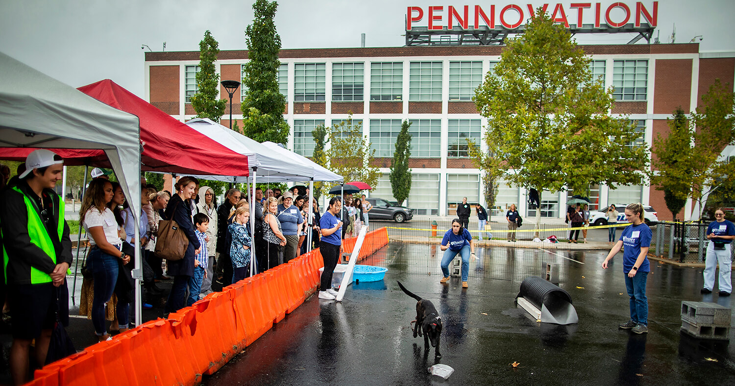 Outdoor demonstration at the Working Dog Center 10th Anniversary