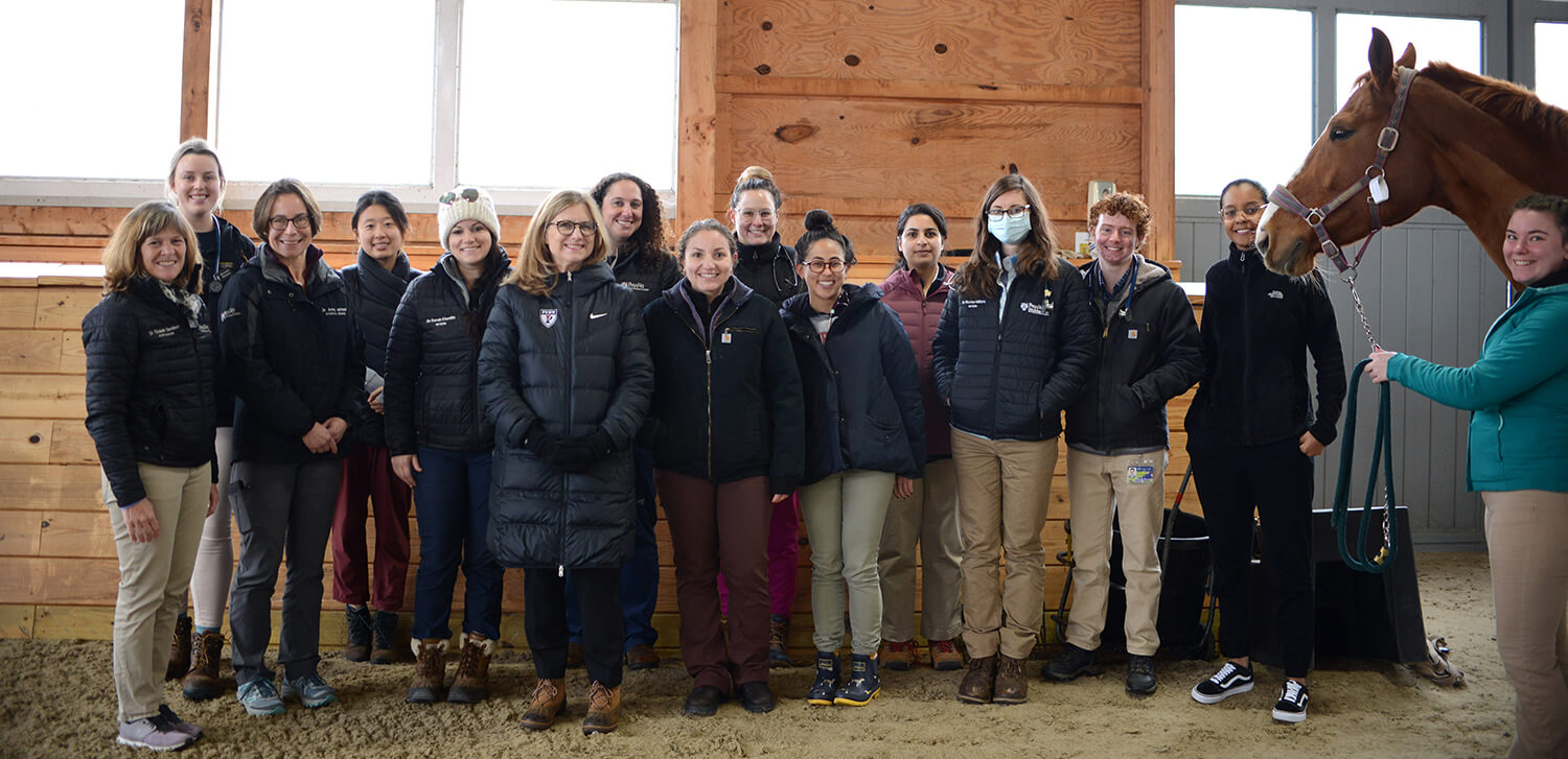 Photo of President Magill with students, staff, and faculty at the Equine Performance Evaluation Facility.
