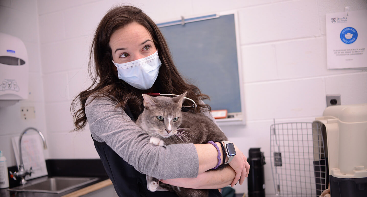Photo of a veterinarian holding a cat