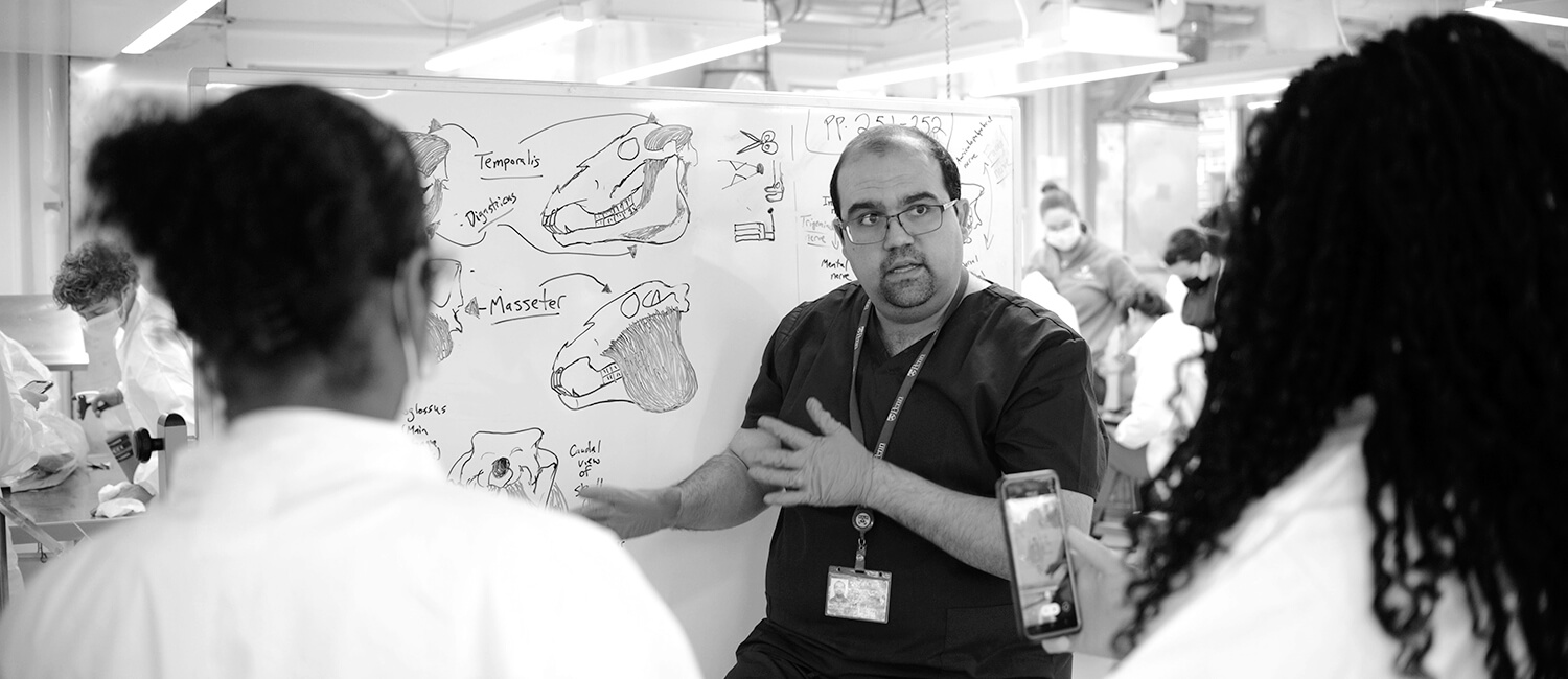 Photo of Dr. Ali Nabavizadeh teaching anatomy