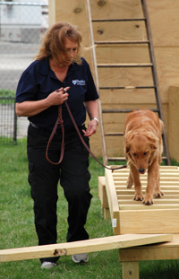 Training Director Annemarie DeAngelo works with Bretagne in the outdoor agility course.