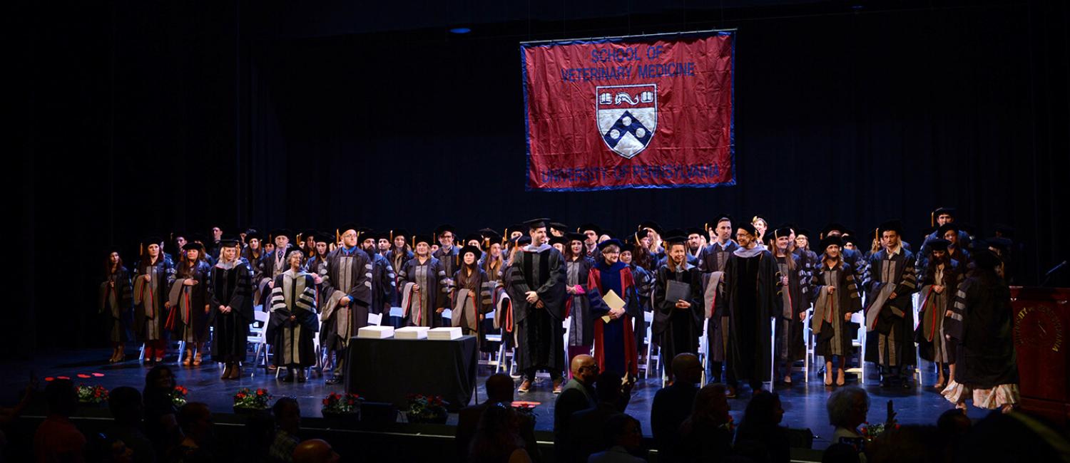 Photo of a graduation ceremony