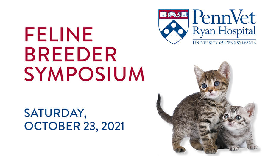 feline breeder-symposium-2021