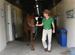 Dr. Nolen-Walston leads a horse out of the barn