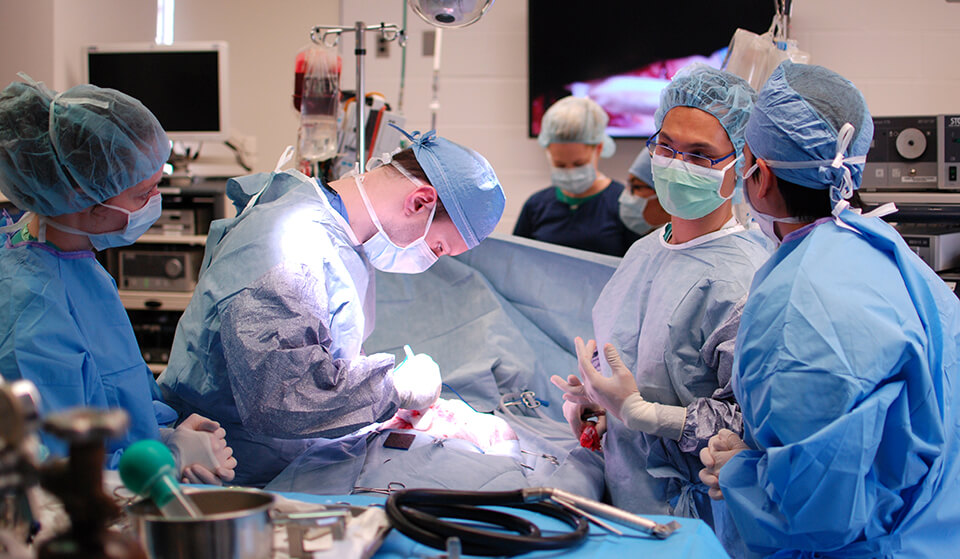 At left, Dr. Brophy opens up Blue's chest; at right, Dr. Michael Mison instructs Miranda