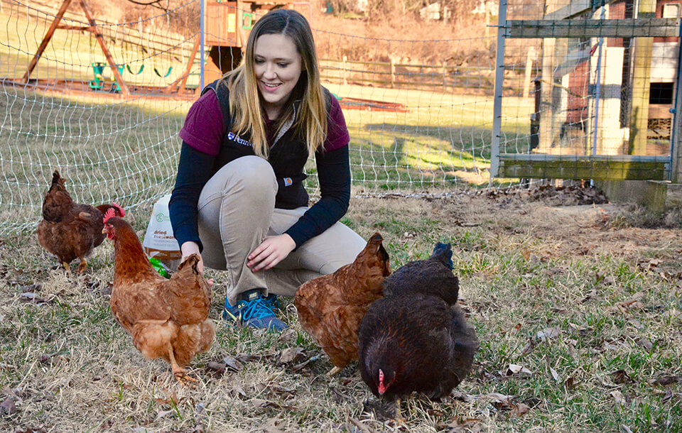 For Tracy, avian medicine presents the perfect confluence of research, clinical care, and public health, and it’s a largely unexplored science.