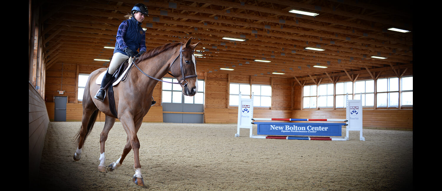 A client rides her horse inside New Bolton Center's Equine Performance Evaluation Facility for observation.