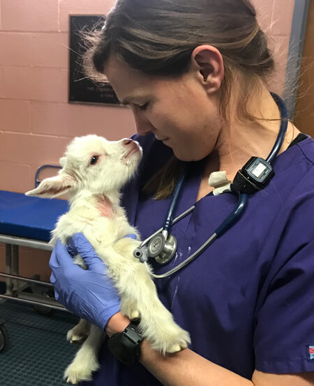 Daisy nuzzles Amanda Hardcastle, one of her clinical care team members