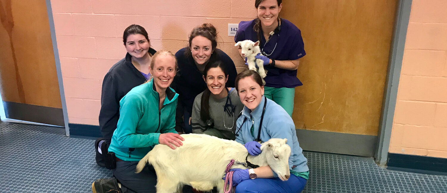 Ivory and Daisy pose with their Clinical Care Team at New Bolton Center