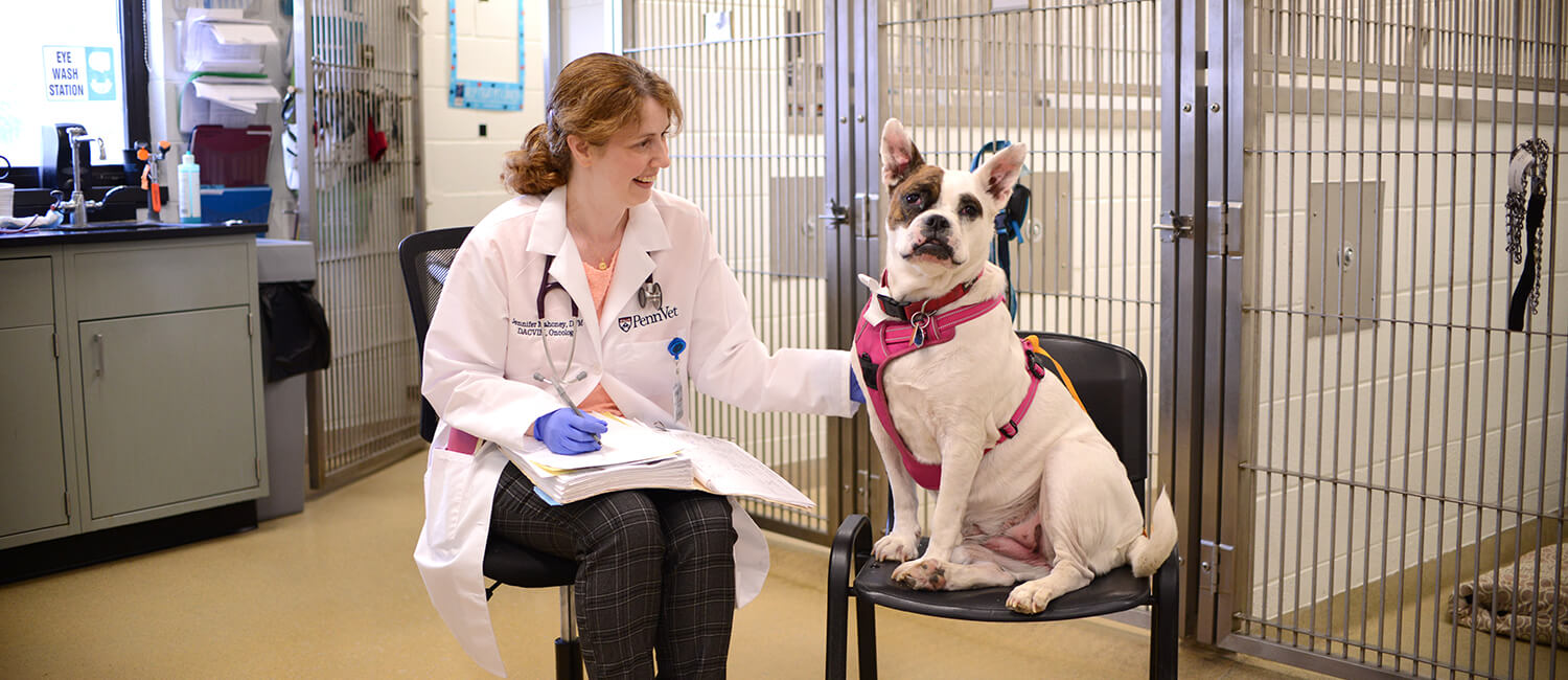Dr. Jennifer Mahoney sits with her patient, Roxy, in Ryan Hospital's oncology treatment room.